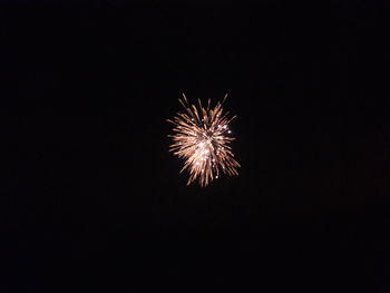 Low angle view of firework display against sky at night