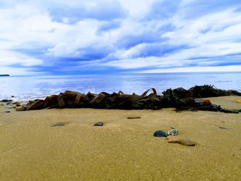 Surface level of rocks on beach against sky