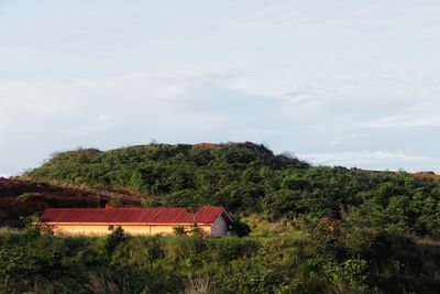 House amidst trees and plants against sky