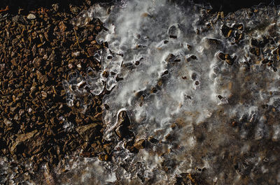 Full frame shot of rock in sea