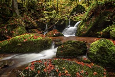 View of waterfall in forest