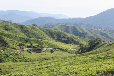 Scenic view of landscape