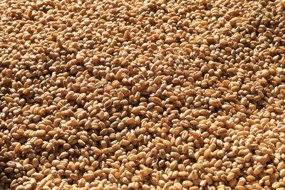 Full frame shot of roasted coffee beans