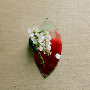 High angle view of white roses on table