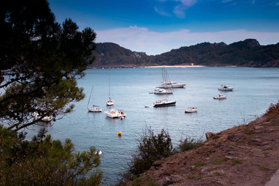 High angle view of sailboats in sea