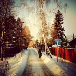 Road passing through bare trees