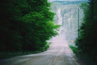 Road amidst trees in forest against sky