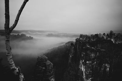 Panoramic view of trees and mountains against sky