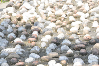 Extreme close up of pebbles