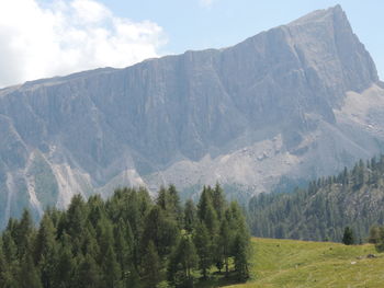 Panoramic view of trees and mountains against sky