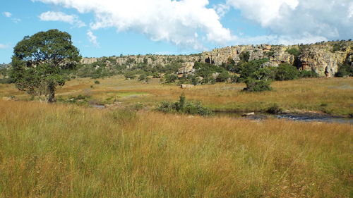 Scenic view of land against sky