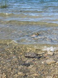 High angle view of a beach