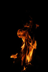 Close-up of bonfire against black background