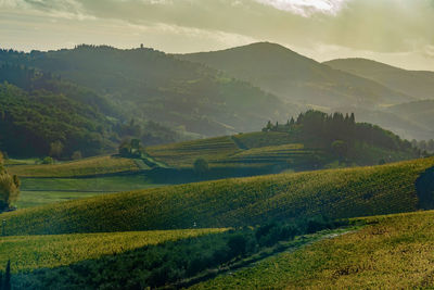 Scenic view of agricultural field against sky