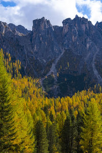 Panoramic view of beautiful landscape at cortina italy., wallpaper.