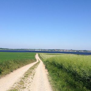 Dirt road passing through landscape