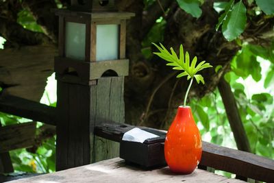 Leaf in vase on table