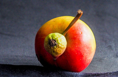 Close-up of fruits