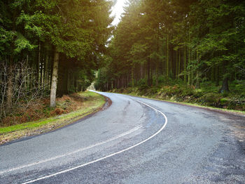 Empty road amidst trees on field