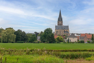 Trees growing on field against buildings