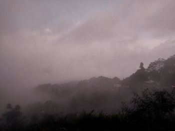 Scenic view of forest against sky