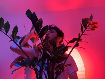 Low angle view of silhouette plant against orange sky