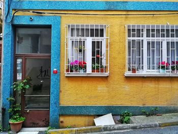 Potted plants outside building