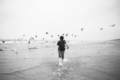 Rear view of man wading while seagulls flying over sea