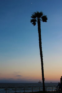 Silhouette palm tree by sea against sky during sunset