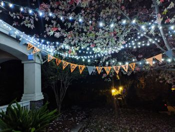 Illuminated lanterns hanging on tree at night