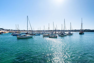 Sailboats moored in harbor against clear blue sky