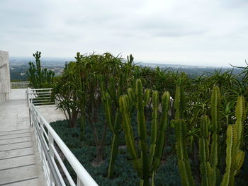 Scenic view of trees against sky