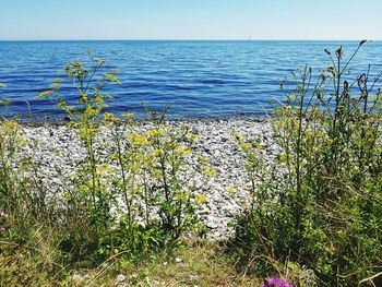 Scenic view of sea against blue sky