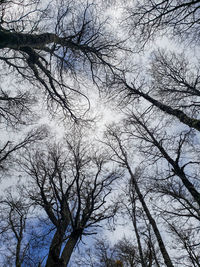 Low angle view of bare trees against sky