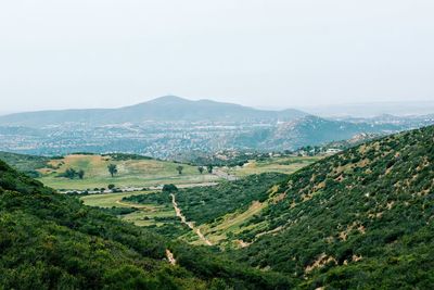 Scenic view of field against clear sky