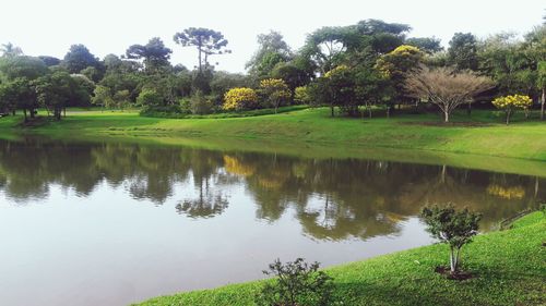 Scenic view of lake by trees against sky