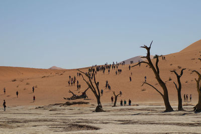 Scenic view of desert against clear sky