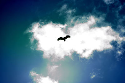 Low angle view of bird flying in sky