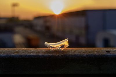 Close-up of lizard on retaining wall against sunset sky