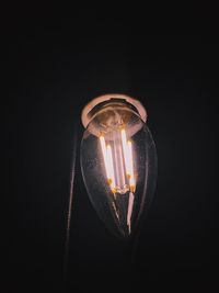 Close-up of illuminated light bulb against black background