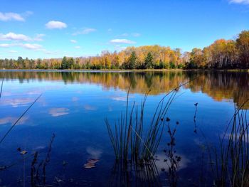 Reflection of trees in calm lake