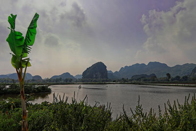 Scenic view of lake against sky