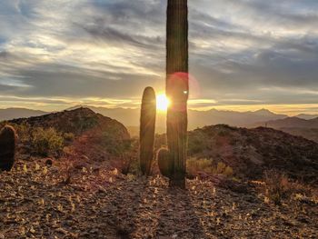 Scenic view of landscape against sky during sunset