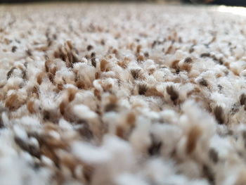 Full frame shot of wool