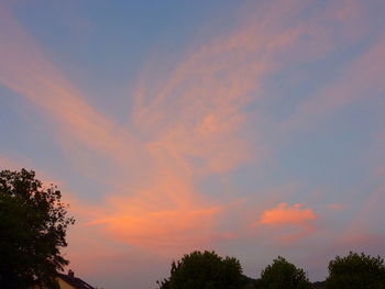 Low angle view of silhouette trees against sky at sunset