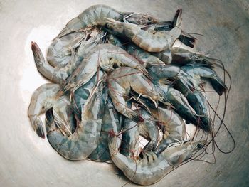 High angle view of fish for sale in market