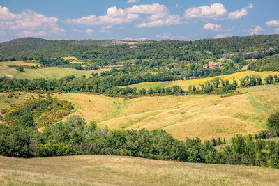 Panorama of view green and yellow fields of asciano area at harvest time, siena province, tuscany.