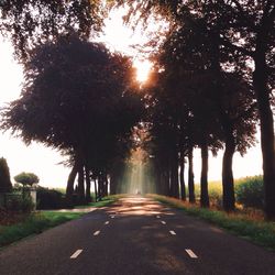 Road passing through trees