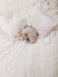 High angle view of stuffed toy on bed