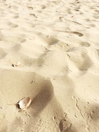 High angle view of sand on beach